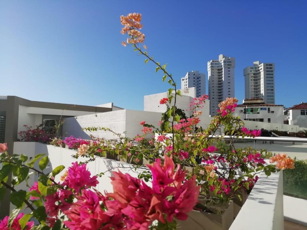 Apartamento Rodadero Sur Edificio Aragoa A 150 Metros Del Mar